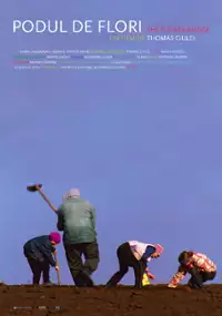 Plakat filmu Kwietny most