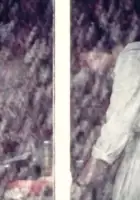 plakat filmu Amalgamat