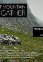 plakat filmu The Great Mountain Sheep Gather