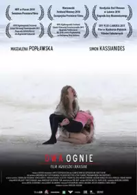 Plakat filmu Dwa ognie