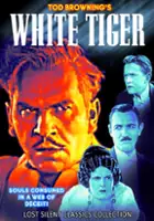 plakat filmu White Tiger