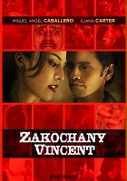 plakat filmu Zakochany Vincent