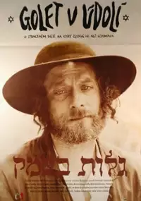 Plakat filmu Golet v údolí
