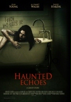 plakat filmu Haunted Echoes