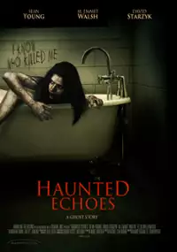 Plakat filmu Haunted Echoes