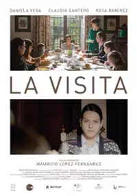 Plakat filmu La Visita