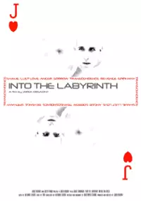 Plakat filmu Into the Labyrinth