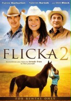 plakat filmu Flicka 2