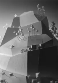 Plakat filmu The Eagleman Stag