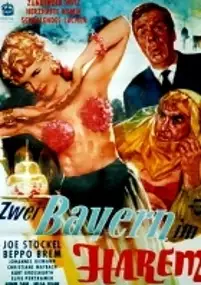 Plakat filmu Zwei Bayern im Harem