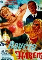 Peter Igelhoff / Zwei Bayern im Harem