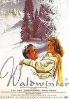 plakat filmu Waldwinter