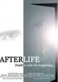 Plakat filmu AfterLife