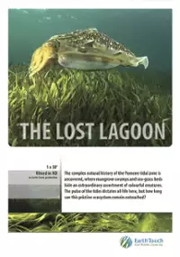 Plakat filmu Zaginiona laguna