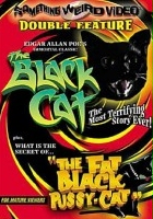 plakat filmu The Fat Black Pussycat