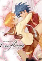 plakat serialu Vision of Escaflowne