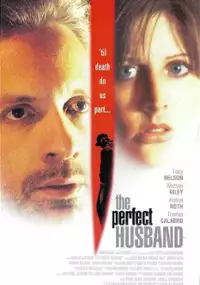Plakat filmu Mąż doskonały
