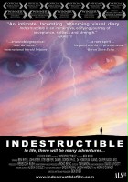 plakat filmu Indestructible