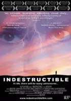 Brendan Canty / Indestructible