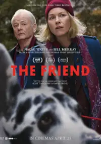 Plakat filmu The Friend