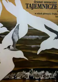 Plakat filmu Tajemnicze spotkanie