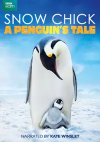 Plakat filmu Pisklę wśród śniegu. Opowieść o małym pingwinie