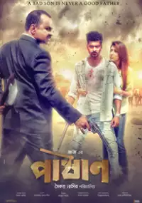 Plakat filmu Pashan
