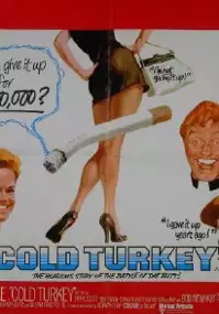 Plakat filmu Zimny indyk