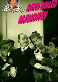 Plakat filmu Hard Boiled Mahoney