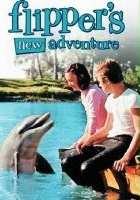 plakat filmu Mój przyjaciel delfin 2