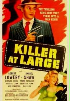 plakat filmu Killer at Large