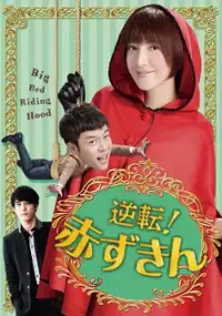 Plakat serialu Da Hong Mao Yu Xiao Ye Lang