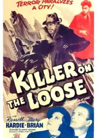 Plakat filmu Killer at Large