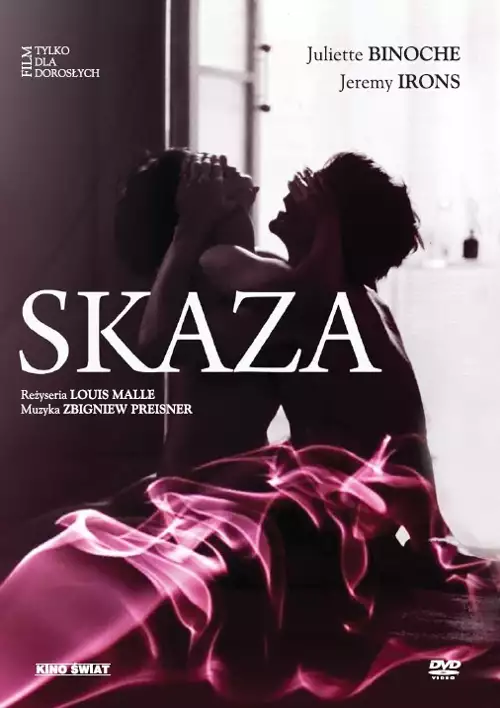 plakat filmu Skaza