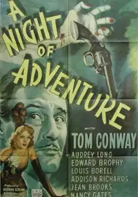 Plakat filmu A Night of Adventure