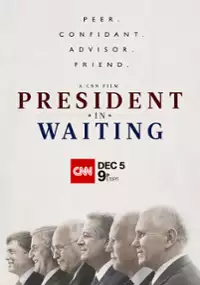 Plakat filmu Wiceprezydent. Czekając na awans