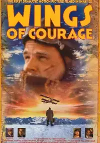 Plakat filmu Skrzydła odwagi