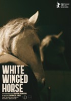 plakat filmu White Winged Horse