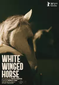 Plakat filmu White Winged Horse