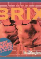 plakat gry Brix