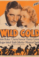 plakat filmu Wild Gold