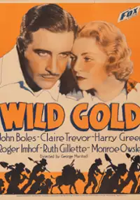 Plakat filmu Wild Gold