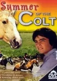 Plakat filmu El Verano del potro