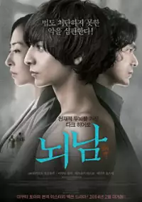 Plakat filmu Nô Otoko