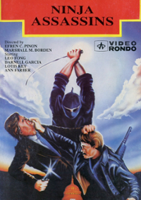 Plakat filmu Skrytobójcy ninja