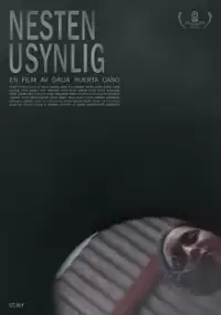 Plakat filmu Nesten usynlig