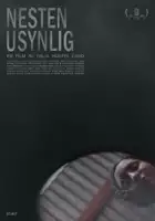 plakat filmu Nesten usynlig
