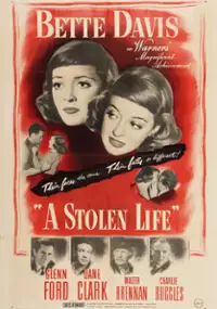 Plakat filmu Skradzione życie
