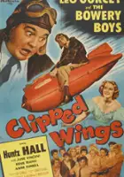 plakat filmu Clipped Wings