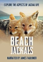 plakat filmu Beach Jackals